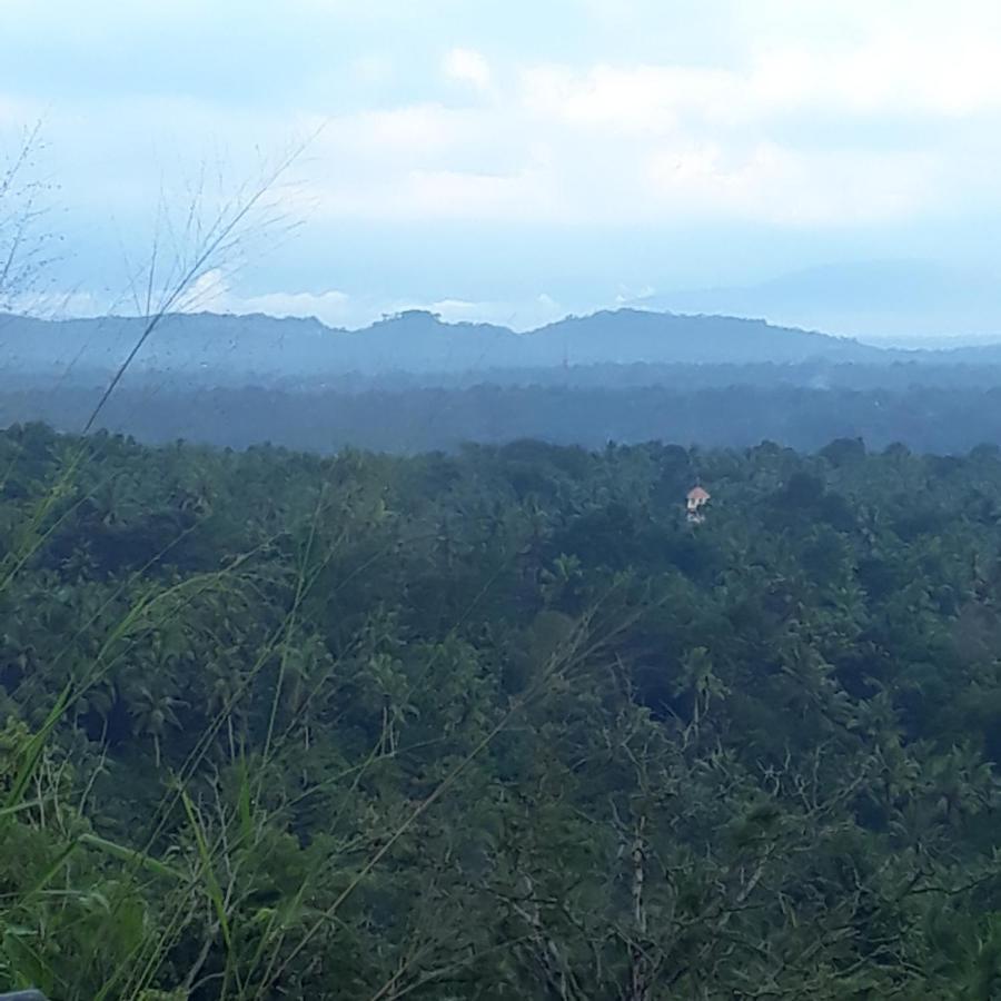Amara Ayurveda Retreat- Overlooking Evergreen Western Ghats An Ecologically Sustainable Living Space In Kovalam Extérieur photo
